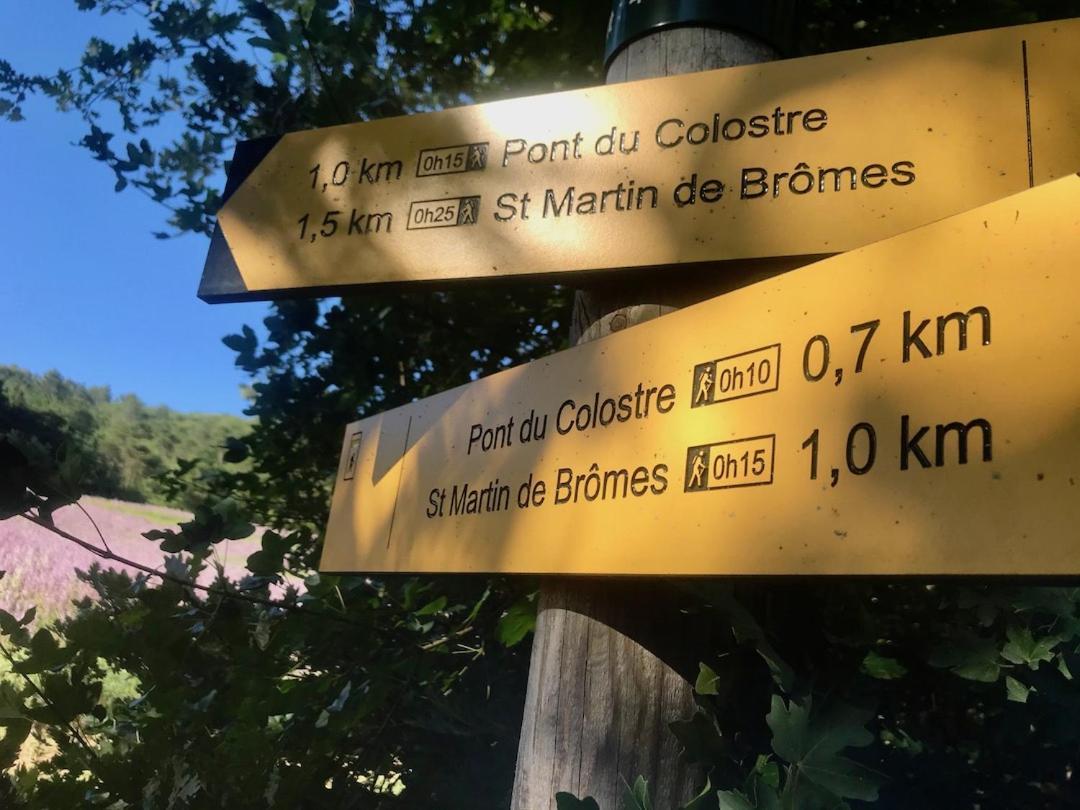 Le Colostre T2 Saint-Martin-de-Brômes Εξωτερικό φωτογραφία